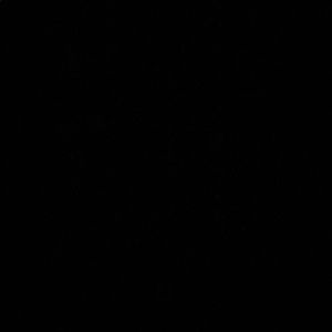 Meet your Posher, Nai